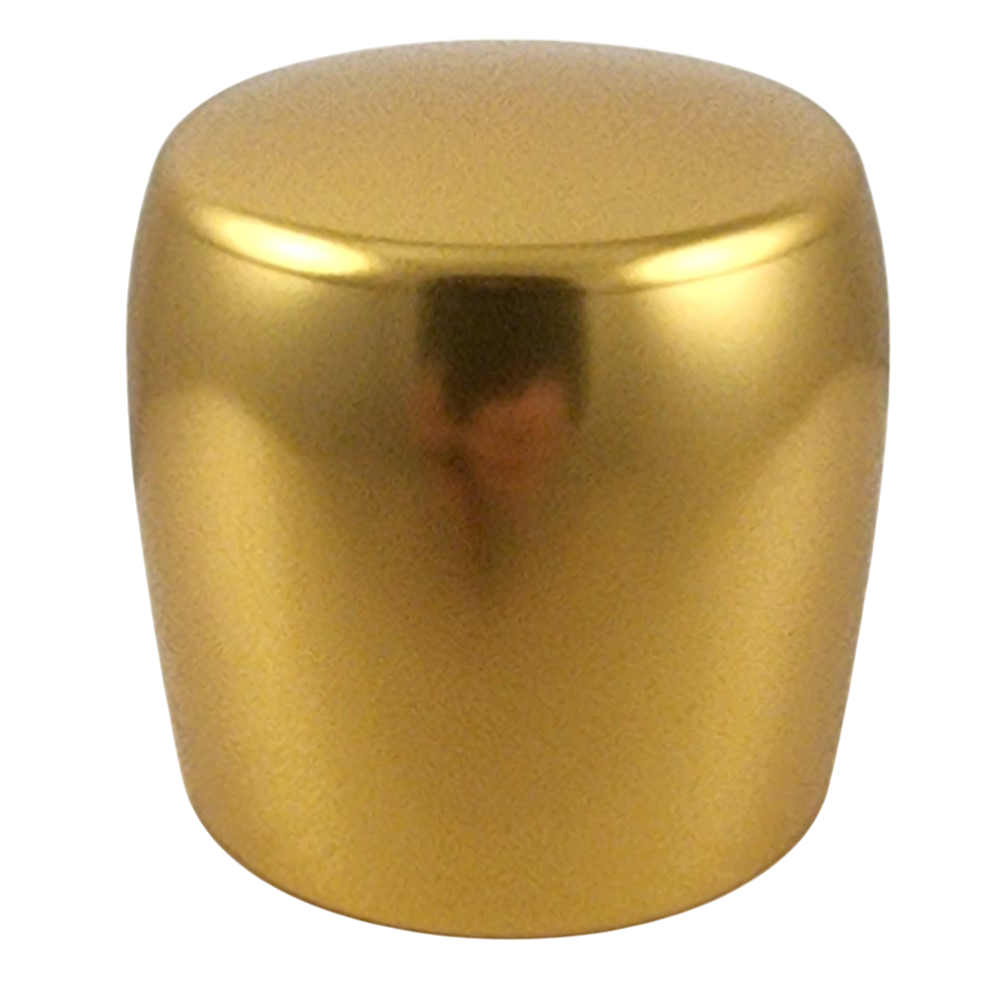 Gold XB200 Cylinder Style Aluminum Handle Cane