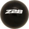 Z28 Logo handle cane